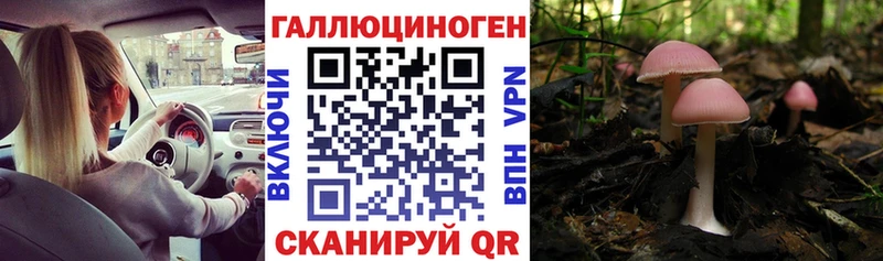 Галлюциногенные грибы Psilocybe  Купить  Жирновск 