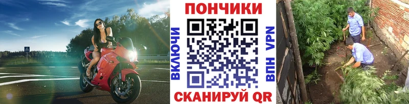 Купить закладки  Жирновск  Конопля MAZAR 